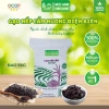 Gạo nếp cẩm Điện Biên 5kg – Giá giảm 200k, thơm ngon, dinh dưỡng, chất lượng