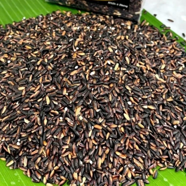 Gạo nếp cẩm Điện Biên 5kg – Giá giảm 200k, thơm ngon, dinh dưỡng, chất lượng 2