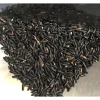Gạo nếp cẩm Điện Biên mới 500g-1kg dẻo thơm, ngon nấu xôi sữa chua - Giá 33.500₫ 3