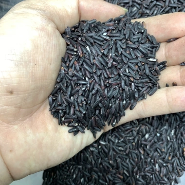 Gạo Nếp Cẩm Nếp Than 1kg - Hút chân không, thơm ngon dẻo ngọt, chỉ 24.000₫ 3