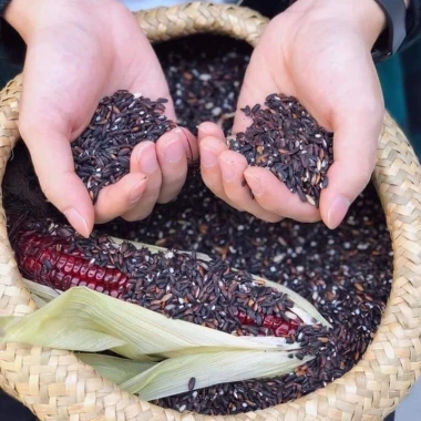 Gạo nếp cẩm sạch Điện Biên 1kg túi hút chân không - Giá chỉ 50.000đ, thơm ngon, an toàn 2