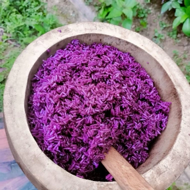 Gạo Nếp HMông Điện Biên 5kg - Đặc sản thơm ngon, giảm giá còn 280.000 VND 4 Gạo Nếp HMông Điện Biên 5kg - Đặc sản thơm ngon, giảm giá còn 280.000 VND 4