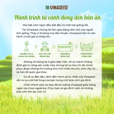 Gạo Nếp Hoa Vàng Vinaseed 2kg - Hạt mềm dẻo dai, Giá chỉ 86.000 VND (Giá gốc 105.780 VND) 2