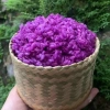 Gạo nếp Mường Chanh - Gạo vàng Sơn La, giá 70.000đ, hạt dẻ thơm ngon, chất lượng 4