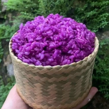 Gạo nếp Mường Chanh - Gạo vàng Sơn La, giá 70.000đ, hạt dẻ thơm ngon, chất lượng 4