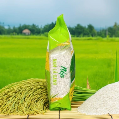 Gạo Nếp Nam Lá Xanh 100% Dẻo Thơm - Nấu Xôi, Chè, Bánh Chưng, Bánh Tét, Giá 37.000₫