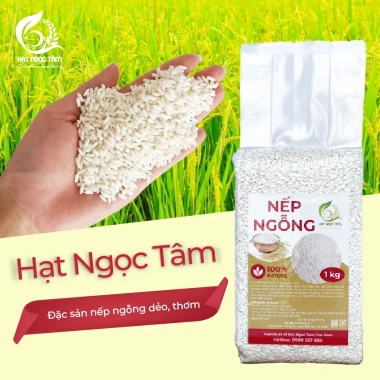 Gạo Nếp Ngỗng Thơm Ngon Cao Cấp - Gạo Hạt Ngọc Tâm, Giá 33.000đ, Giảm Đặc Biệt 2 Gạo Nếp Ngỗng Thơm Ngon Cao Cấp - Gạo Hạt Ngọc Tâm, Giá 33.000đ, Giảm Đặc Biệt 2