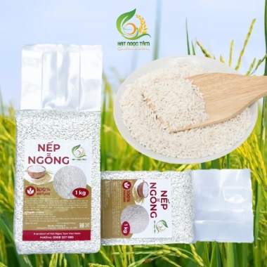 Gạo Nếp Ngỗng Thơm Ngon Cao Cấp - Gạo Hạt Ngọc Tâm, Giá 33.000đ, Giảm Đặc Biệt 4 Gạo Nếp Ngỗng Thơm Ngon Cao Cấp - Gạo Hạt Ngọc Tâm, Giá 33.000đ, Giảm Đặc Biệt 4