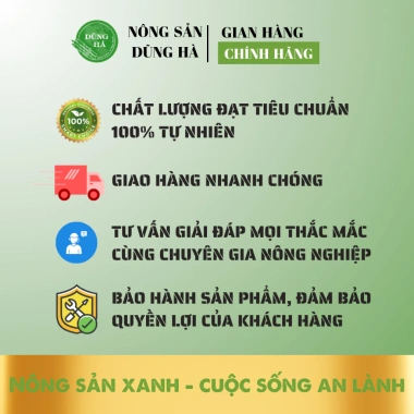 Gạo Nếp Nhung 1kg Hàng tuyển chọn, thơm ngon, hạt dẻo, tặng lá nếp, nấu xôi bao dẻo giá tốt 5 Gạo Nếp Nhung 1kg Hàng tuyển chọn, thơm ngon, hạt dẻo, tặng lá nếp, nấu xôi bao dẻo giá tốt 5