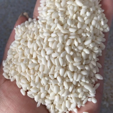 Gạo Nếp Nhung Đặc Sản 1kg - Gạo Chuẩn Xôi Phú Thượng Truyền Thống, Giá 58.000đ