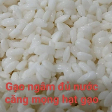 Gạo Nếp Nhung Đặc Sản 1kg - Gạo Chuẩn Xôi Phú Thượng Truyền Thống, Giá 58.000đ 3 Gạo Nếp Nhung Đặc Sản 1kg - Gạo Chuẩn Xôi Phú Thượng Truyền Thống, Giá 58.000đ 3