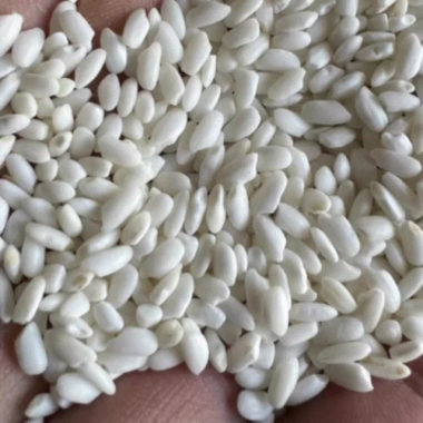 Gạo Nếp Nhung Đặc Sản 1kg - Gạo Chuẩn Xôi Phú Thượng Truyền Thống, Giá 58.000đ