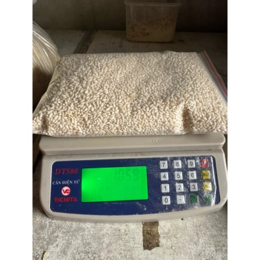 Gạo Nếp Nhung Đặc Sản 1kg - Gạo Chuẩn Xôi Phú Thượng Truyền Thống, Giá 58.000đ