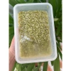 Gạo nếp non Khẩu Hang Tú Lệ - Cốm nếp đặc sản núi rừng Tây Bắc, giảm giá 133k 4