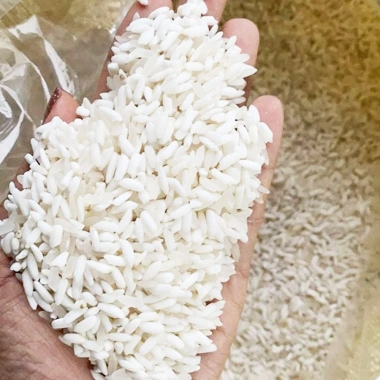 Gạo nếp nương bản Mường Điện Biên 1kg - Giá sỉ 49.499đ, mới, chất lượng cao 3