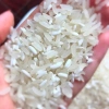 Gạo Nếp Nương Bảo Minh 1kg Đặc Sản Điện Biên – Thơm Ngon, Dẻo, Quà Tặng Tự Nhiên, Giá 72.000₫ 3