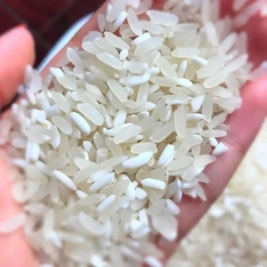 Gạo Nếp Nương Bảo Minh 1kg Đặc Sản Điện Biên – Thơm Ngon, Dẻo, Quà Tặng Tự Nhiên, Giá 72.000₫ 3
