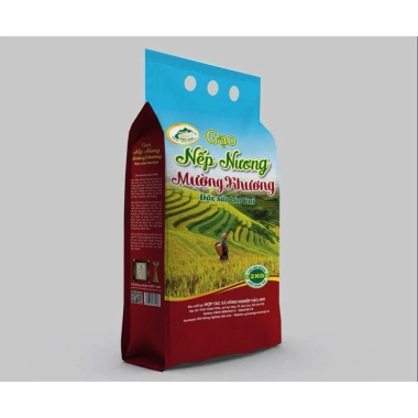 Gạo Nếp Nương Đặc Sản Lào Cai – Hạt Thơm Ngon, Dinh Dưỡng, Giá Ưu Đãi 125k 2