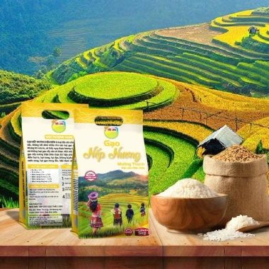 Gạo nếp nương Điện Biên 5kg vụ mới - Giá 220.000đ, thơm ngon, chất lượng cao