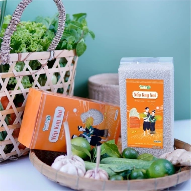 Gạo nếp nương Kay Nọi Bản Lào hạt tròn loại 1 - Xôi đanh dẻo, giá chỉ 75.000đ, giảm từ 93.000đ