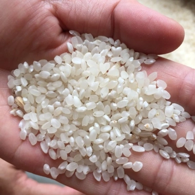 Gạo nếp nương Tú lệ hảo hạng 1kg - Giá sỉ mới, giảm còn 60.000đ, chất lượng cao