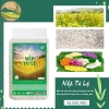 Gạo nếp nương Tú lệ VJA hảo hạng 1kg – Giá sỉ, date mới, bao bì mới, giảm còn 55.000₫ 5