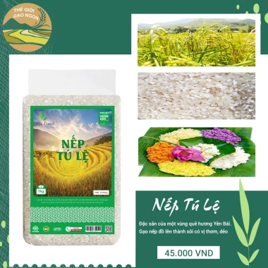Gạo nếp nương Tú lệ VJA hảo hạng 1kg – Giá sỉ, date mới, bao bì mới, giảm còn 55.000₫ 5 Gạo nếp nương Tú lệ VJA hảo hạng 1kg – Giá sỉ, date mới, bao bì mới, giảm còn 55.000₫ 5