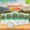 Gạo Nếp Tan Điện Biên 5kg - Combo Giá 220k Dẻo Ngon Dinh Dưỡng Giao Nhanh
