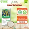 Gạo Nếp Tan Điện Biên 5kg - Combo Giá 220k Dẻo Ngon Dinh Dưỡng Giao Nhanh 2