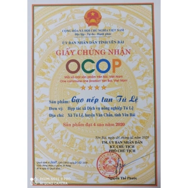 Gạo Nếp Tan Tú Lệ OCOP 4 Sao Đặc Sản Yên Bái 2kg - Giá ưu đãi 138.000đ 3