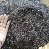 Gạo nếp than 1kg - Nếp cẩm (tím, đen) dẻo thơm, tốt cho sức khỏe, làm sữa chua - 21.000₫