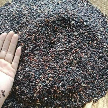 Gạo nếp than 1kg - Nếp cẩm (tím, đen) dẻo thơm, tốt cho sức khỏe, làm sữa chua - 21.000₫