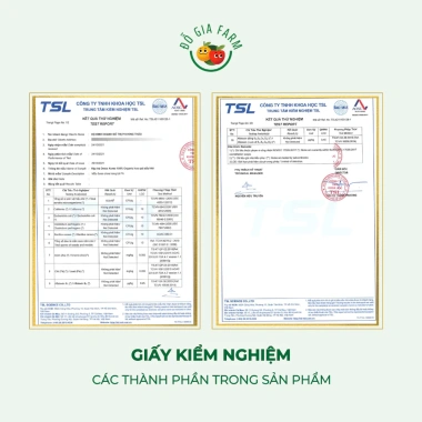 Gạo nếp than rang sẵn Dogiafarm- Dùng cho xôi, chè, sữa chua nếp cẩm, chỉ 71.000₫ 8