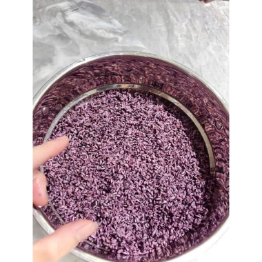Gạo Nếp Tím Điện Biên Xát Dối 1kg - Giá chỉ 52.000, Hạt dẻo thơm, Dinh dưỡng cao 3 Gạo Nếp Tím Điện Biên Xát Dối 1kg - Giá chỉ 52.000, Hạt dẻo thơm, Dinh dưỡng cao 3