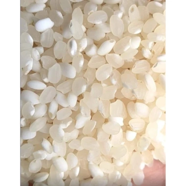 Gạo nếp Tú Lệ cao cấp đặc sản Tây Bắc - Gạo sạch, sát mộc, ưu đãi 22.000 cho khách VIP 2