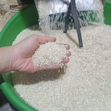 Gạo Nếp Tú Lệ Đặc Sản Yên Bái Thơm, Loại 1 Không Pha Trộn, Giá Ưu Đãi 40.000đ 6