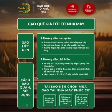 Gạo Phúc Cư 10KG Gạo Lứt Đen Loại Ngon Nếp Than Hữu Cơ cho Tiểu Đường Ăn Kiêng