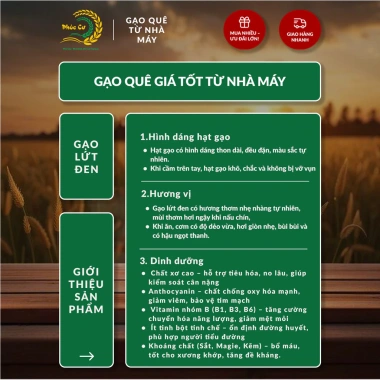 Gạo Phúc Cư 10KG Gạo Lứt Đen Loại Ngon Nếp Than Hữu Cơ cho Tiểu Đường Ăn Kiêng