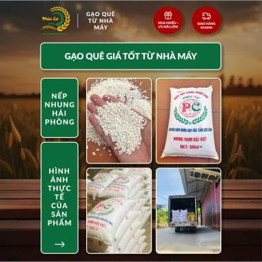Gạo Phúc Cư 10KG Nếp Nhung Hạt To 4 Tháng Tuổi Xôi Không Bết Bánh Dẻo Ngon 200k 3