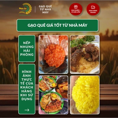 Gạo Phúc Cư 10KG Nếp Nhung Hạt To 4 Tháng Tuổi Xôi Không Bết Bánh Dẻo Ngon 200k 4