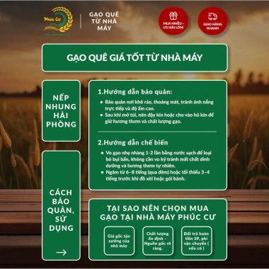 Gạo Phúc Cư 10KG Nếp Nhung Hạt To 4 Tháng Tuổi Xôi Không Bết Bánh Dẻo Ngon 200k 6
