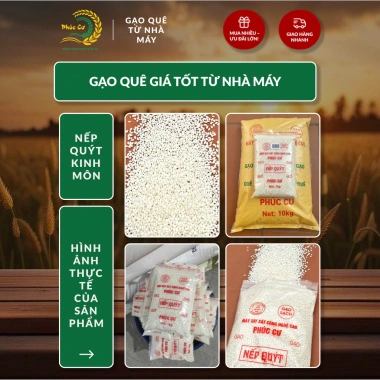Gạo Phúc Cư 5kg Nếp Quýt Kinh Môn 6 tháng tuổi, hạt to tròn, nấu xôi, làm bánh - Giá ưu đãi 210.000 VND
