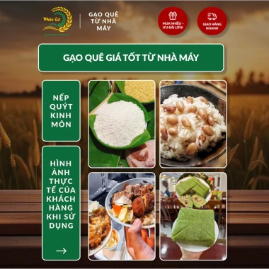 Gạo Phúc Cư 5kg Nếp Quýt Kinh Môn 6 tháng tuổi, hạt to tròn, nấu xôi, làm bánh - Giá ưu đãi 210.000 VND