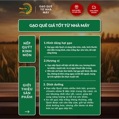 Gạo Phúc Cư 5kg Nếp Quýt Kinh Môn 6 tháng tuổi, hạt to tròn, nấu xôi, làm bánh - Giá ưu đãi 210.000 VND