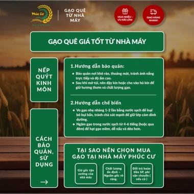 Gạo Phúc Cư 5kg Nếp Quýt Kinh Môn 6 tháng tuổi, hạt to tròn, nấu xôi, làm bánh - Giá ưu đãi 210.000 VND