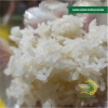 Gạo Phúc Cư 5kg Nếp Sáp Ngỗng Dẻo Thơm Tự Nhiên - Bánh Xôi, Nấu Chè, Giá 150k 2