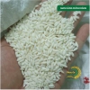 Gạo Phúc Cư 5kg Nếp Sáp Ngỗng Dẻo Thơm Tự Nhiên - Bánh Xôi, Nấu Chè, Giá 150k 6