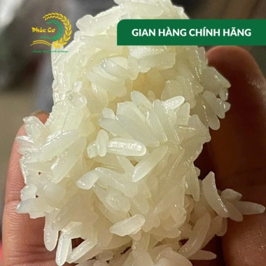 Gạo Phúc Cư Nếp Nương Điện Biên 2kg Hạt Dài Dẻo Thơm Nấu Xôi Làm Bánh