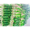 Gạo ST25 Hỏa Tốc Đặc Sản Thơm Dẻo Mềm - Đóng Bao 2 Lớp Giá Ưu Đãi 102k 6