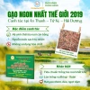 Gạo ST25 Lúa Ruộng Rươi Bảo Minh 3kg - Ngon Nhất, Thơm Mềm Dẻo, Đậm Đà, Giá 165k 2